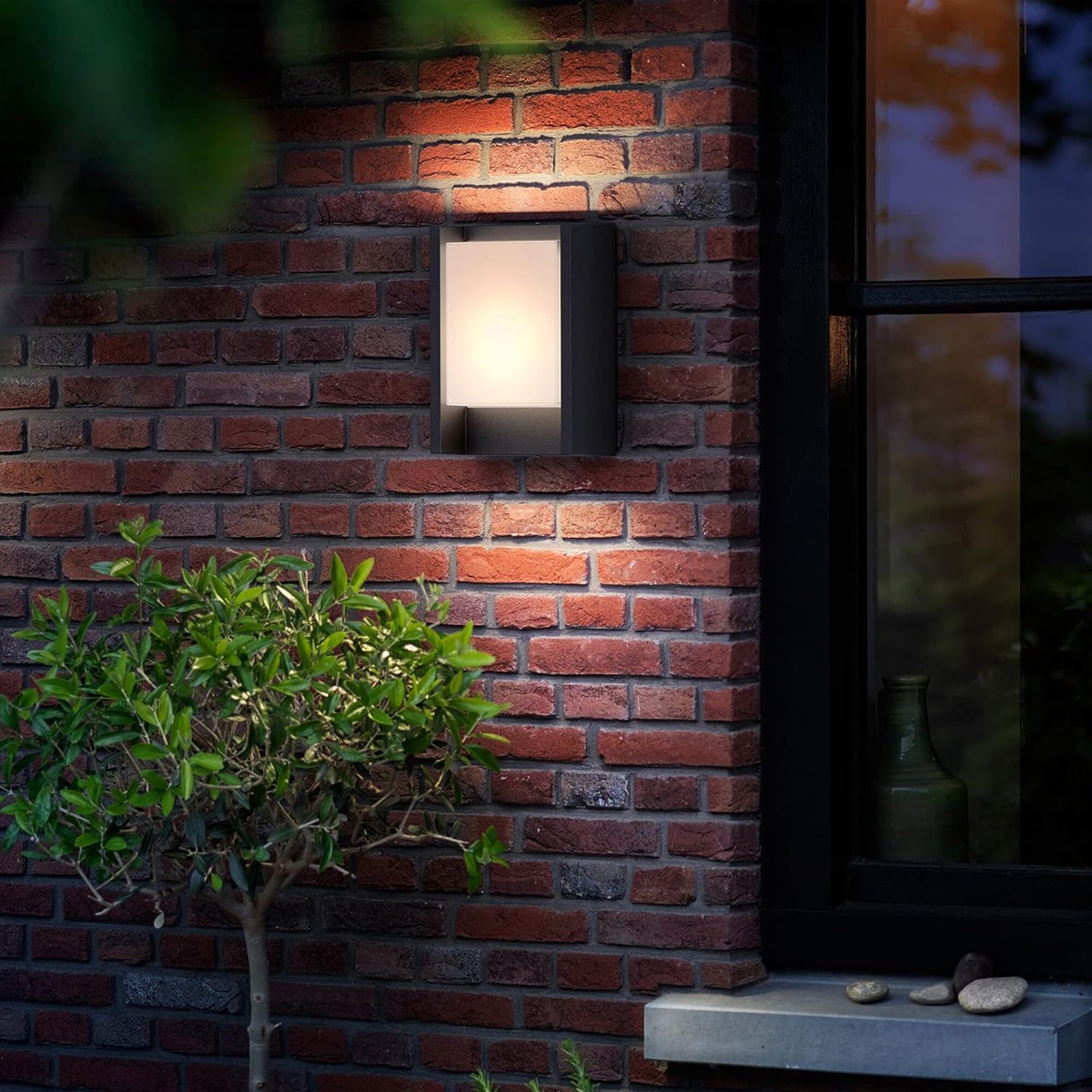 Philips Arbour ultraeffiziente Wandleuchte, 1x 3,8 W ,warmweiß, anthrazit, Neutralweiß