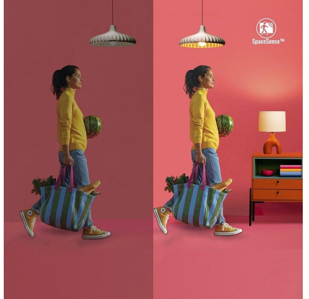 Wiz Hue Funk-Schalter 9290024271