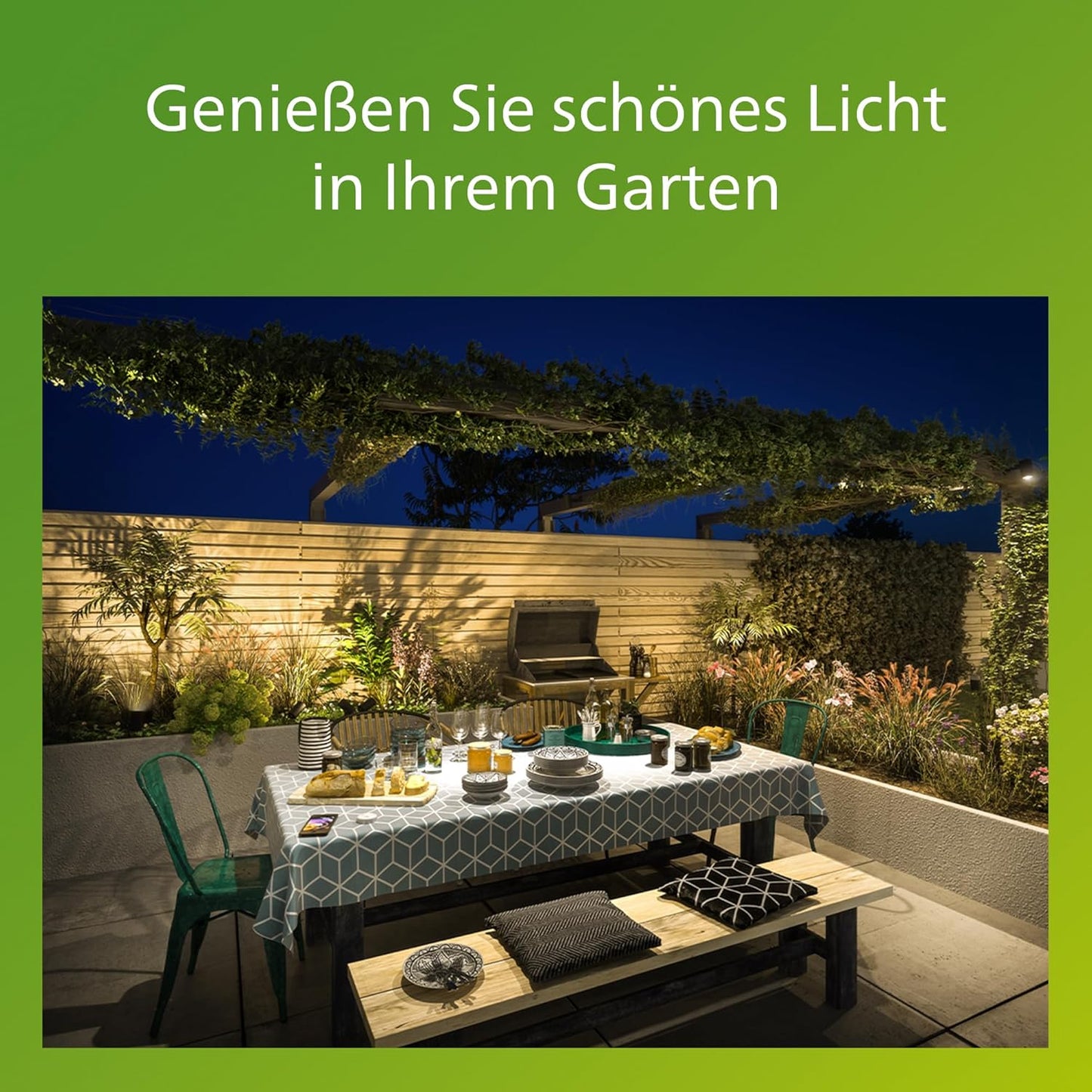 Philips myGarden LED Python Wandaußenleuchte mit Bewegungsmelder, 6W, kaltweißes Licht 4.000K, integriertes Leuchtmittel, Anthrazit