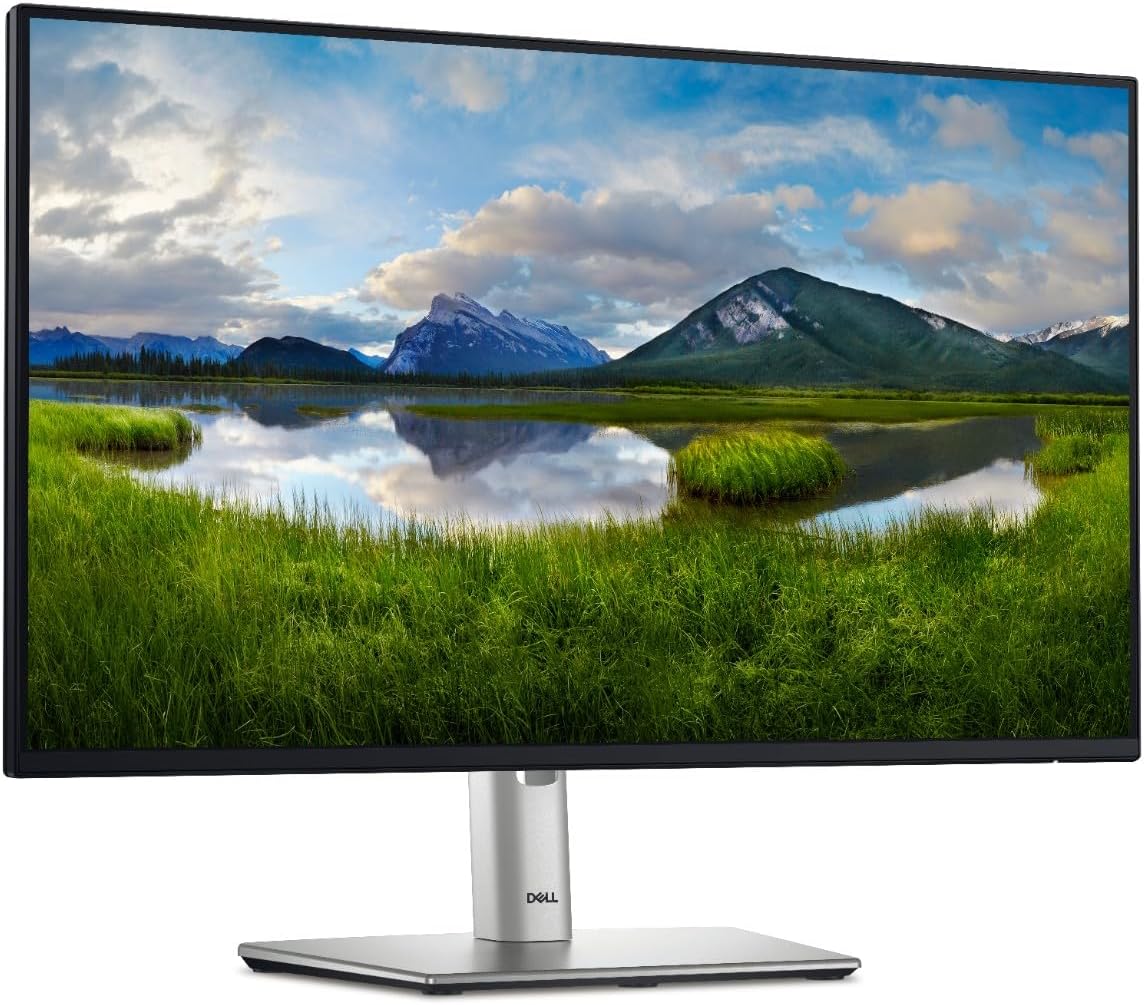 Dell Monitor 23,8 Zoll FHD P2425H