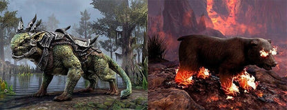 The Elder Scrolls Online: Blackwood Collection PS4