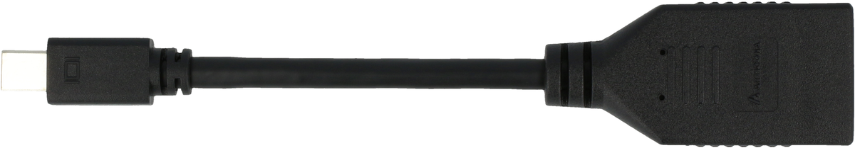 ARTICONA DisplayPort zu Mini-DP Adapter 4244512
