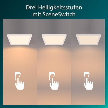 Philips Hue White Amb. LED-Pendelleuchte 929003054401