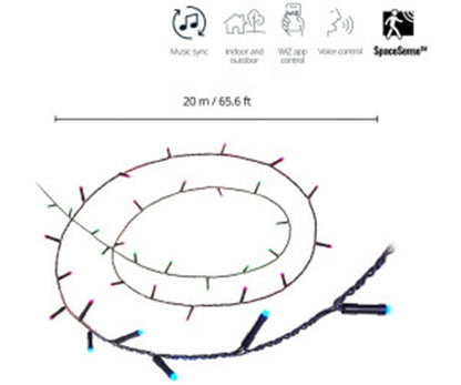 WIZ Smart Fairy Light Color 20m - Lichterkette mit 160 LEDs, 16 Mio. Farben - App Steuerung, 9290041012